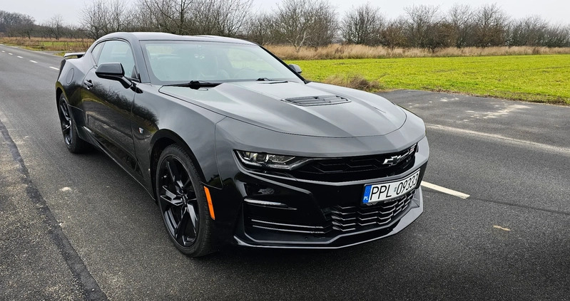 Chevrolet Camaro cena 194900 przebieg: 59500, rok produkcji 2020 z Pleszew małe 232